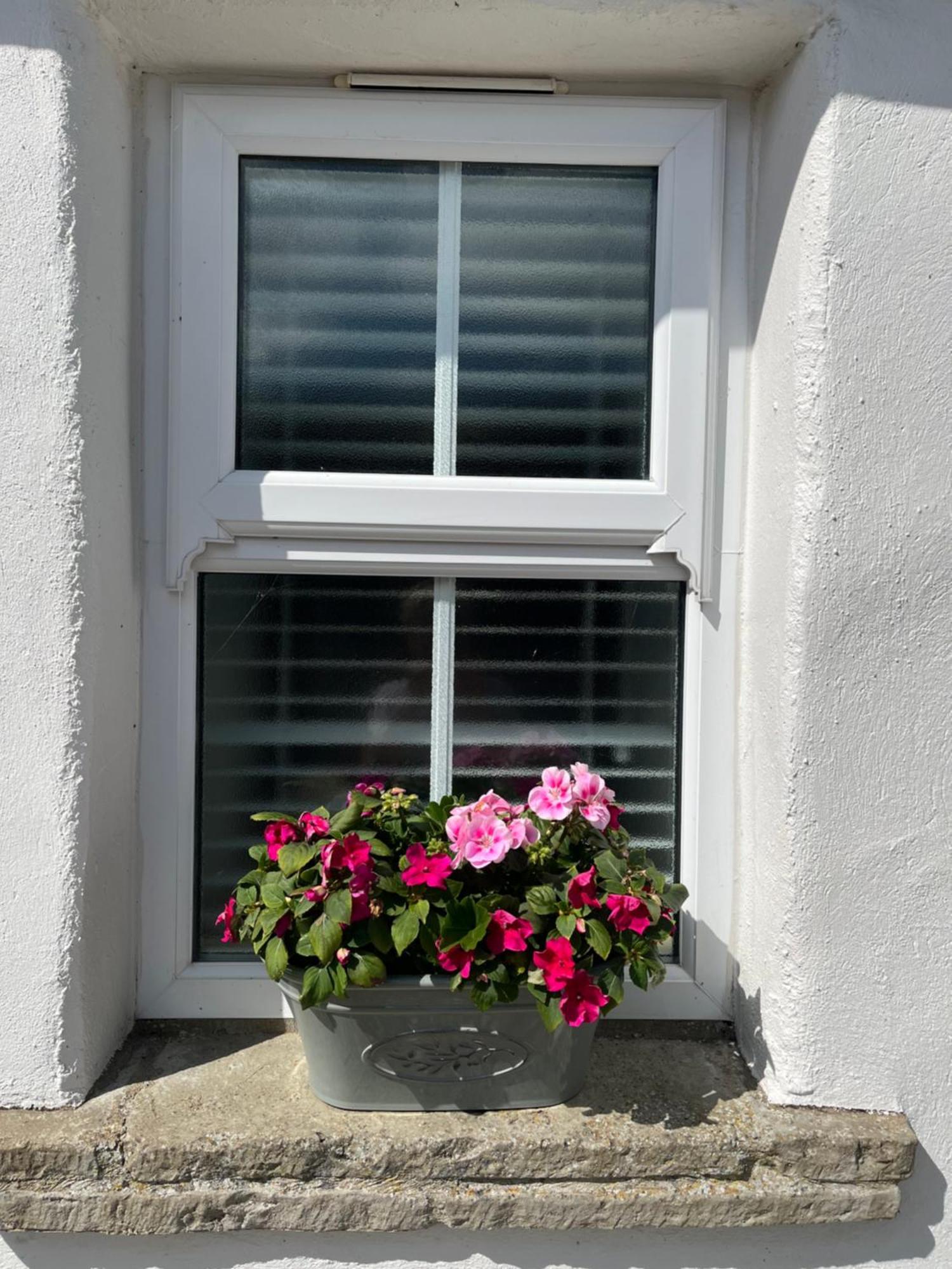 The Cottage At Ashbrook - Charming Country Cottage Near 벨파스트 외부 사진